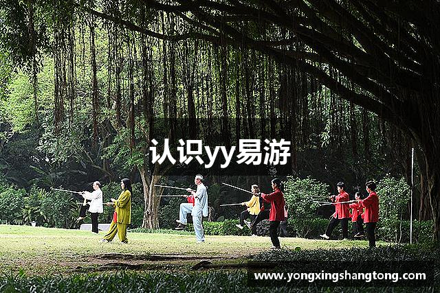 认识yy易游